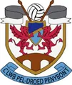 佩尼邦